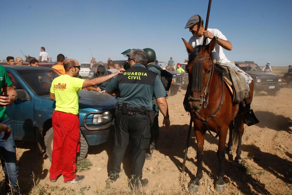 Encierro campero Coreses