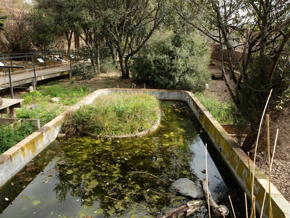 Centre de Tortugues de l''Albera