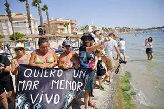 Miles de personas realizan el abrazo simbólico al Mar Menor por todo el litoral de la laguna