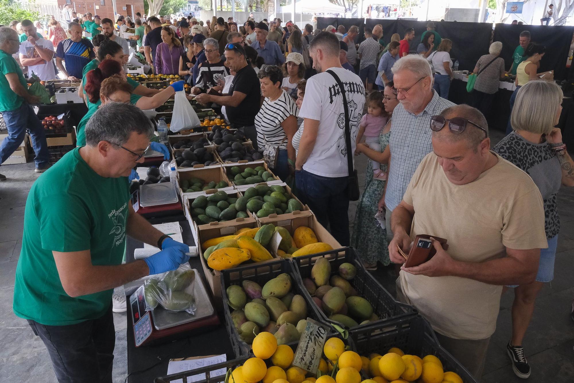 04-11-2024 MOGÁN. IX Feria del Aguacate de Mogán, en Arguineguín  | 01/12/2024 | Fotógrafo: Andrés Cruz