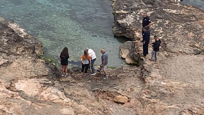 Aparece un tiburón de dos metros en una playa de Ibiza.