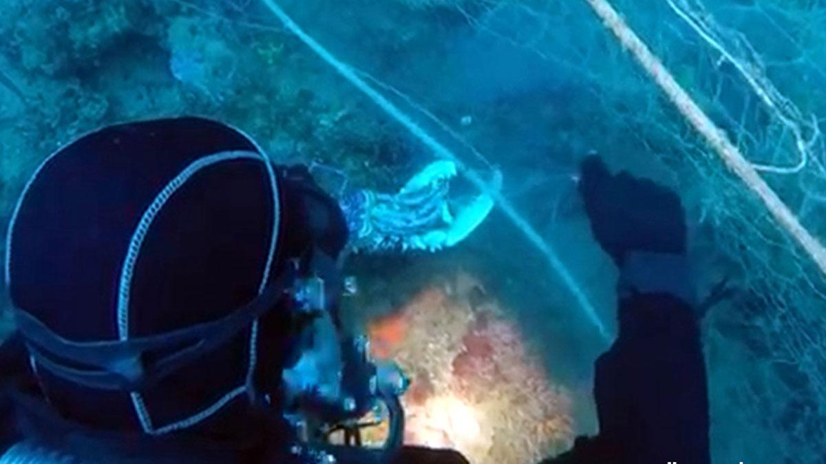 Retirada red de pescadores abandonada del fondo marino de Llafranc