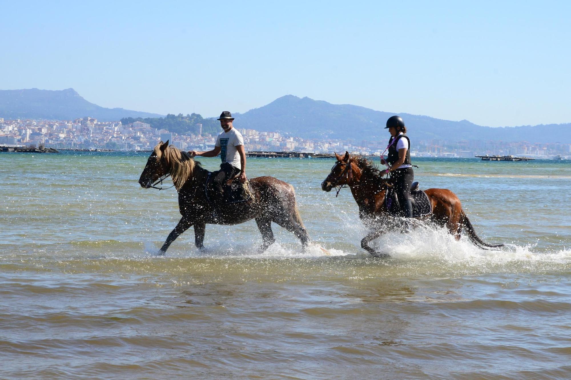Una espectacular jornada a caballo por Moaña (I)