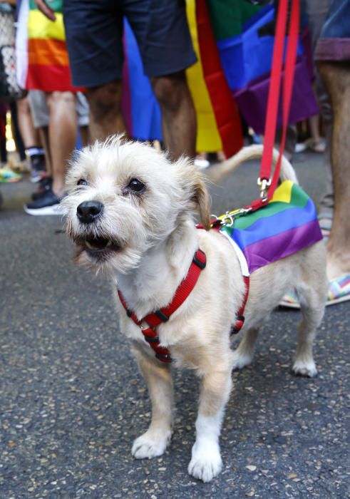 La marcha del Orgullo Gay 2017, en imágenes