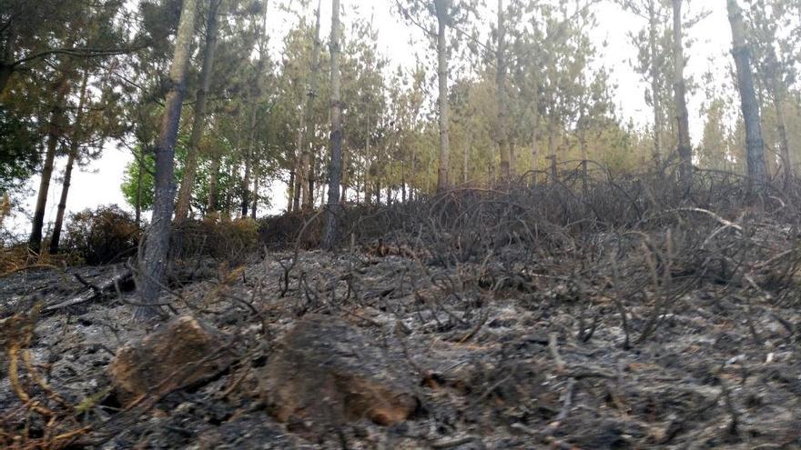 Controlado el incendio forestal que llegó a 150 metros de las casas de Faedo de Ayones