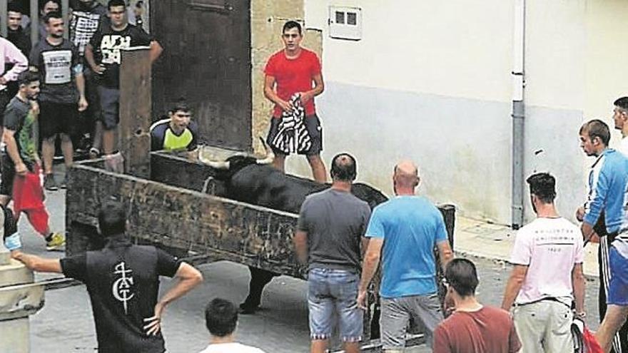 curioso ‘rescate’ de un toro que cayó en un cajón