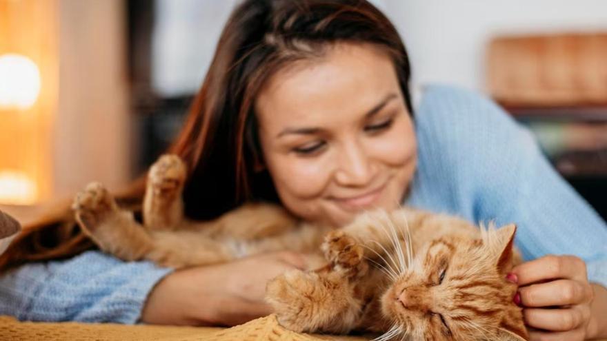 Tenir un gat com a mascota: tot són beneficis