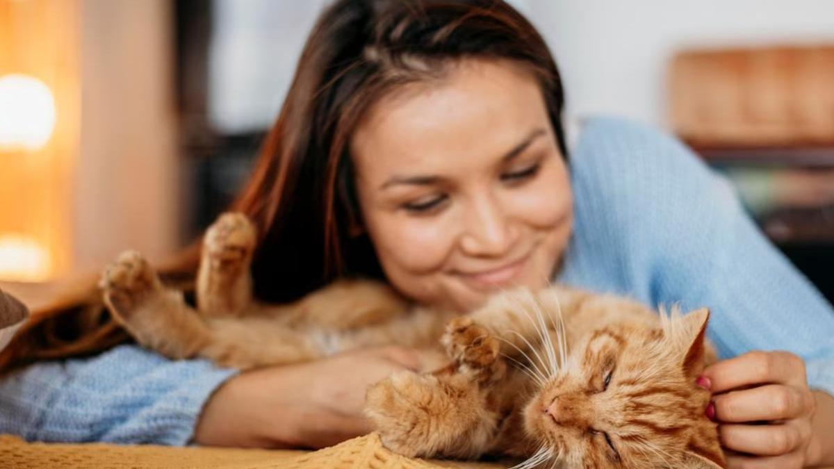 Els 7 beneficis de tenir un gat com a mascota