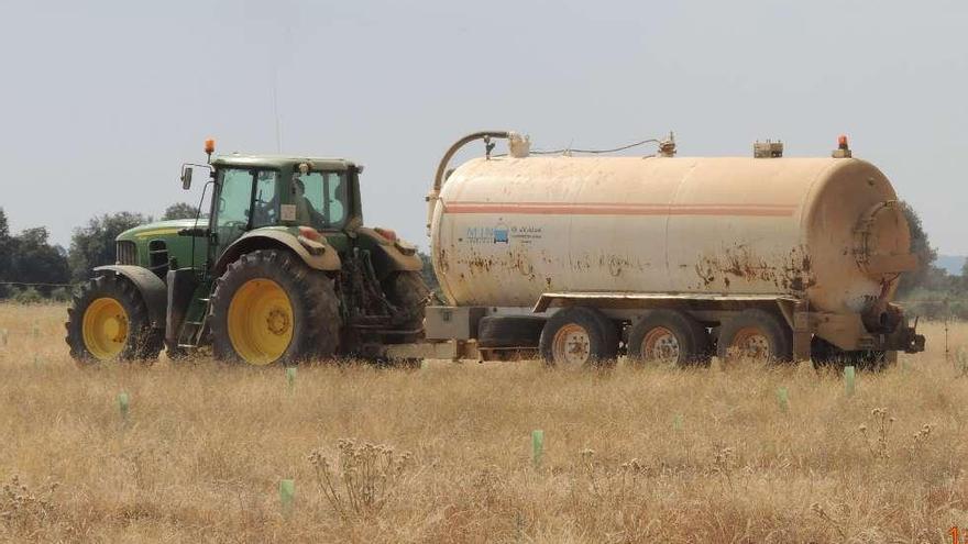 A la izquierda, un tractor regando las plantaciones y a la derecha, tomando medidas de control para el seguimiento del proyecto.