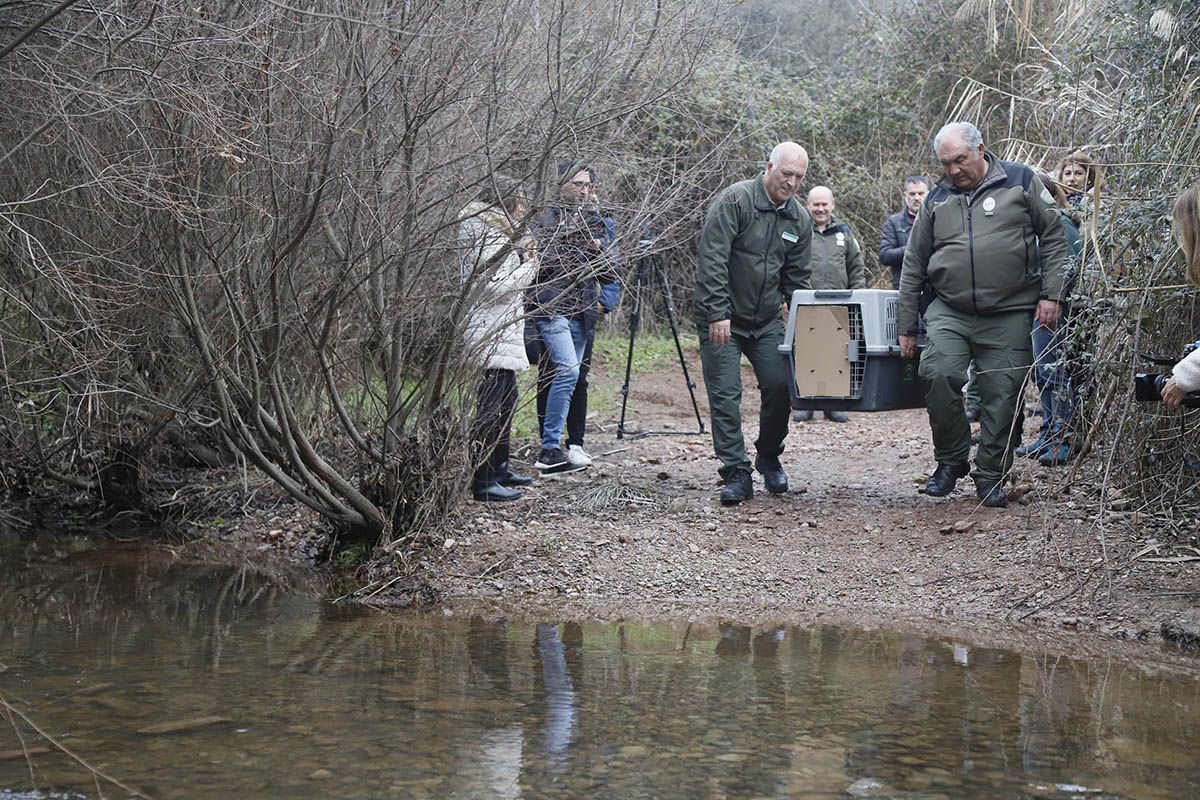 La nutria de Carlos III vuelve a la naturaleza