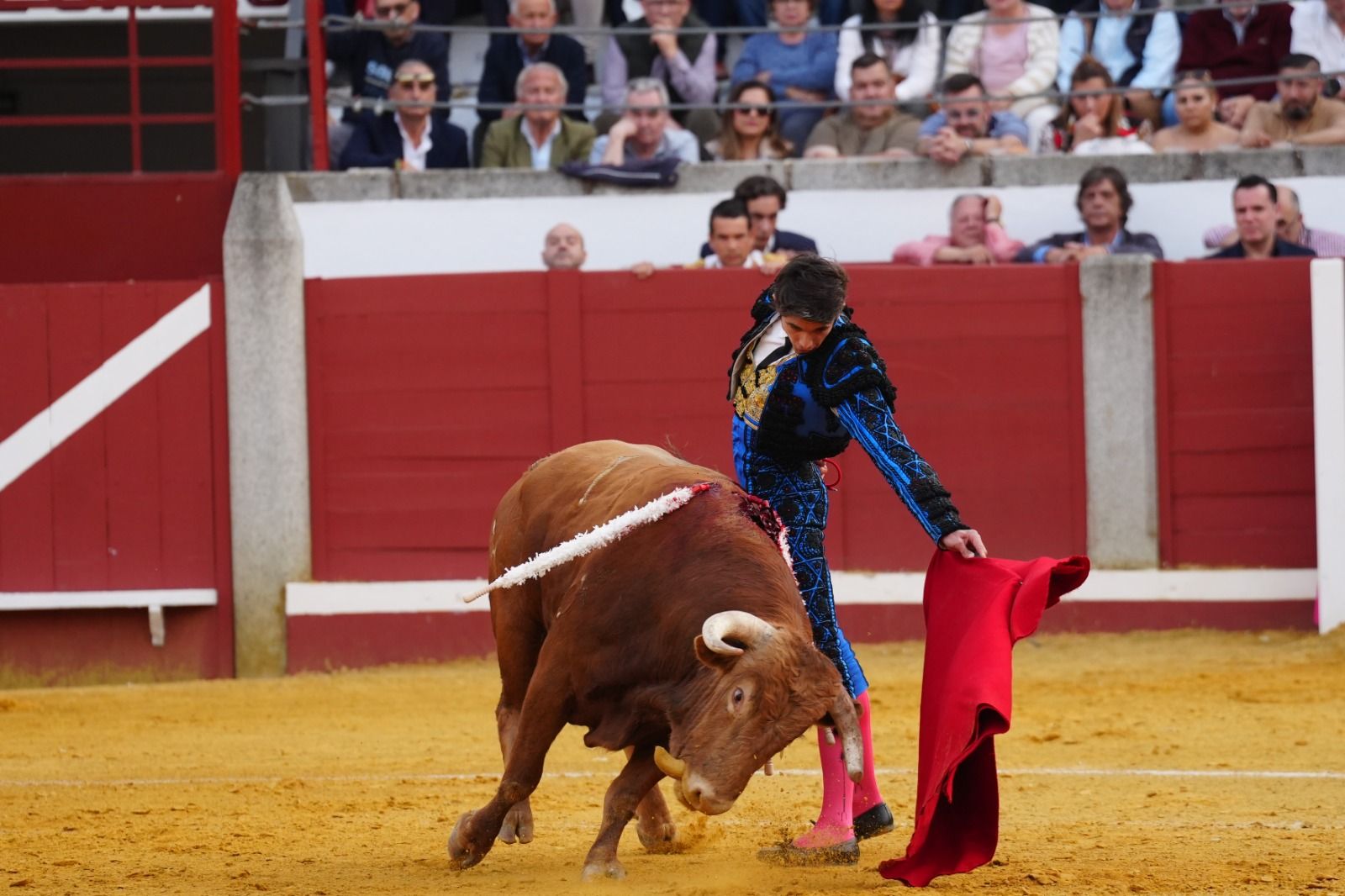 Castella, Manzanares y Roca Rey abren la puerta del Gallo de Los Llanos