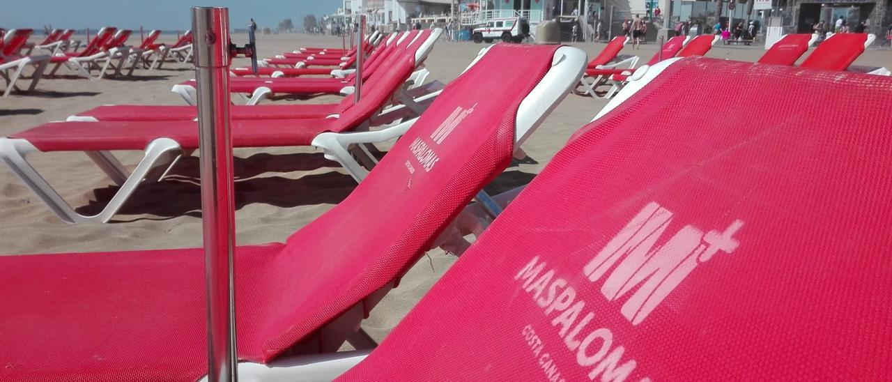 Colocación de hamacas en Maspalomas y Playa del Inglés