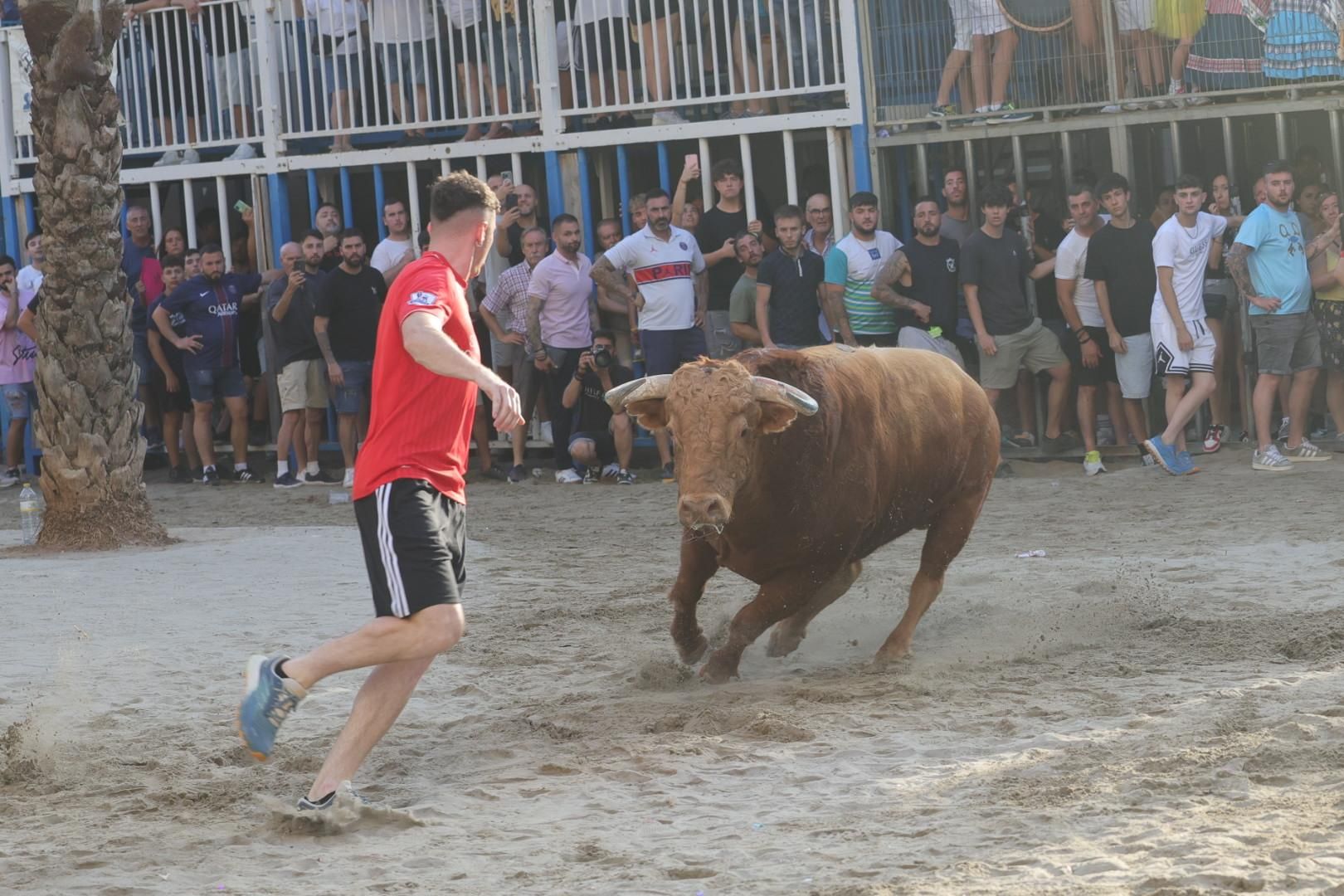 Galería | Intensa jornada taurina en Sant Pere 2025