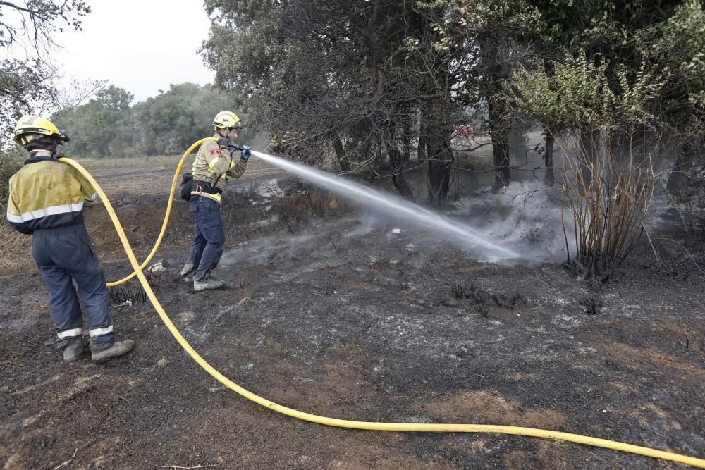 Incendi a la Bisbal