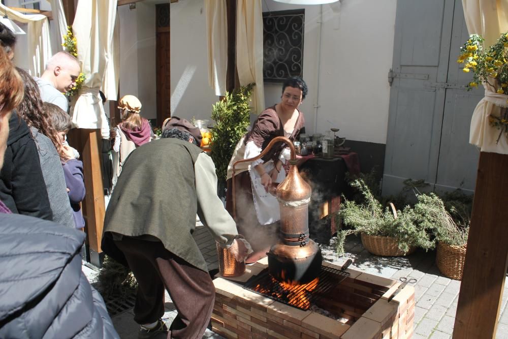 Monacàlia, Fira de l'Abat a Navarcles