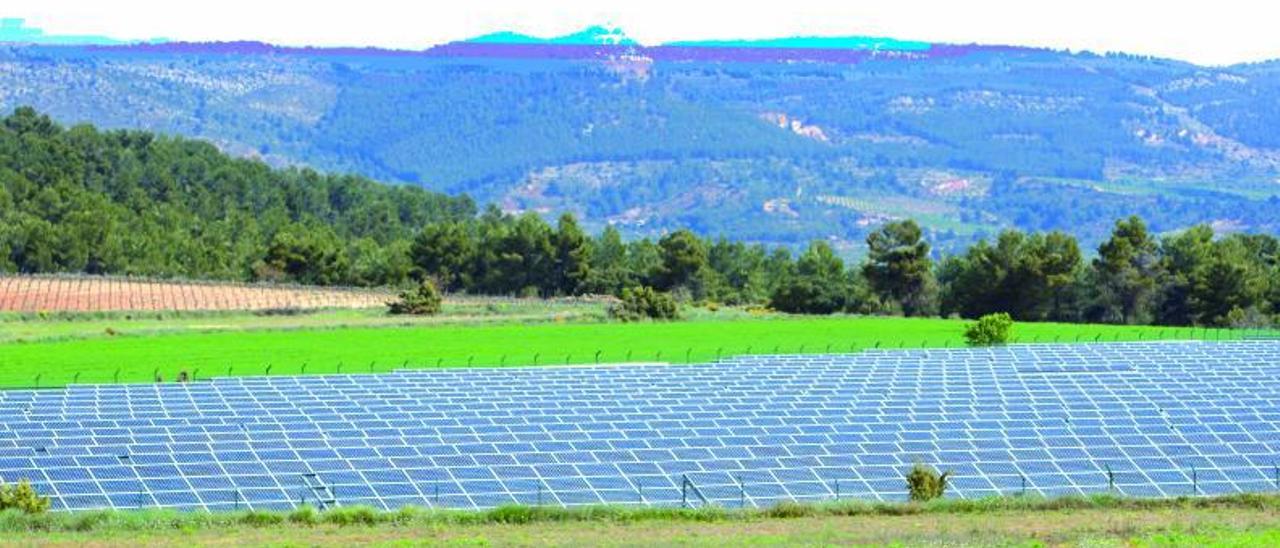 Uno de los huertos solares de la
Comunitat Valenciana, en el
término de Titaguas. |   FERNANDO BUSTAMANTE