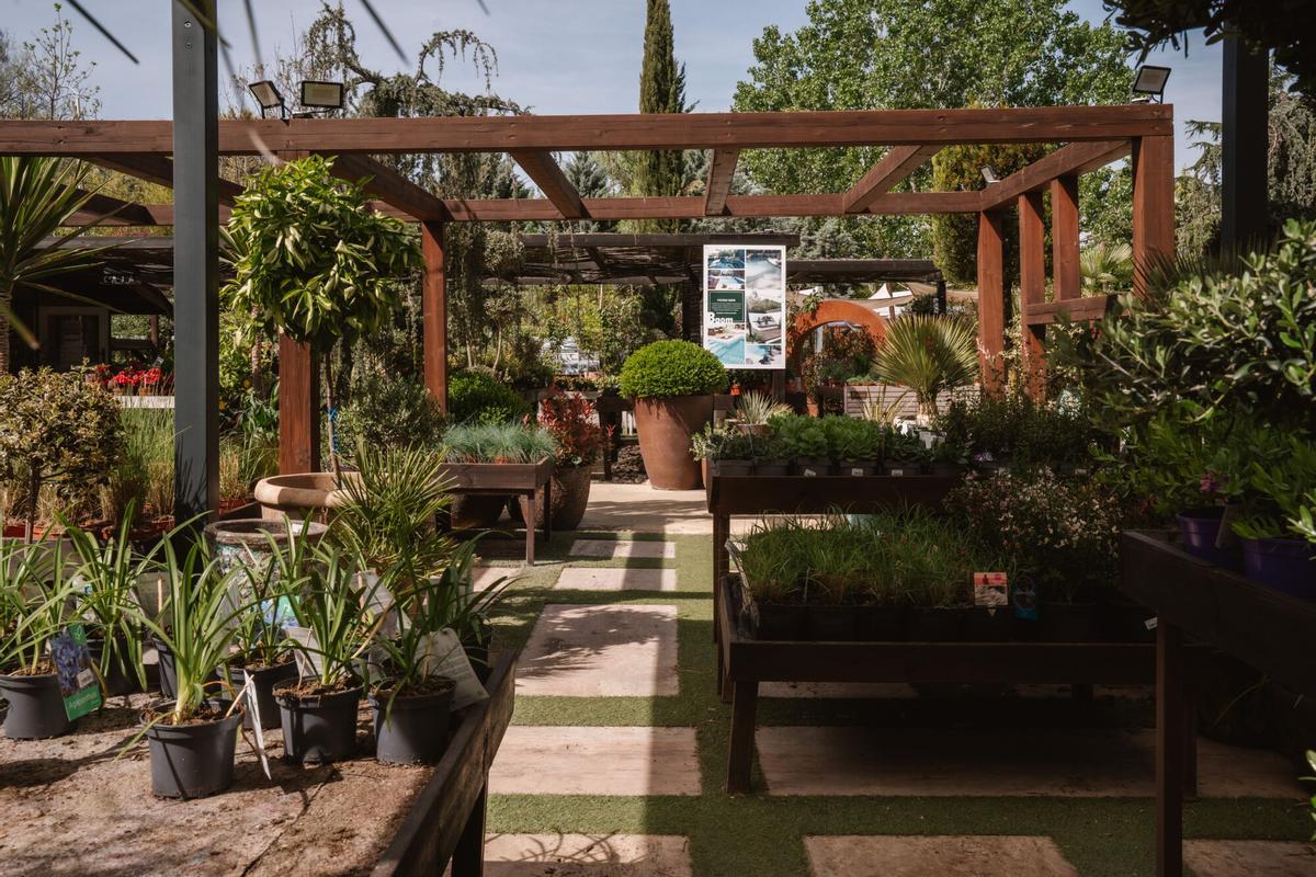 29.04.2026. MADRID. Imágenes del vivero y estudio de diseño de jardinería BAOM, localizado en Brunete. Foto: Alba Vigaray