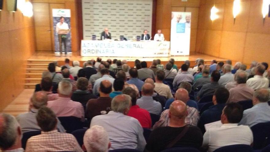 Más de 200 mutualistas participan en la asamblea anual del Montepío