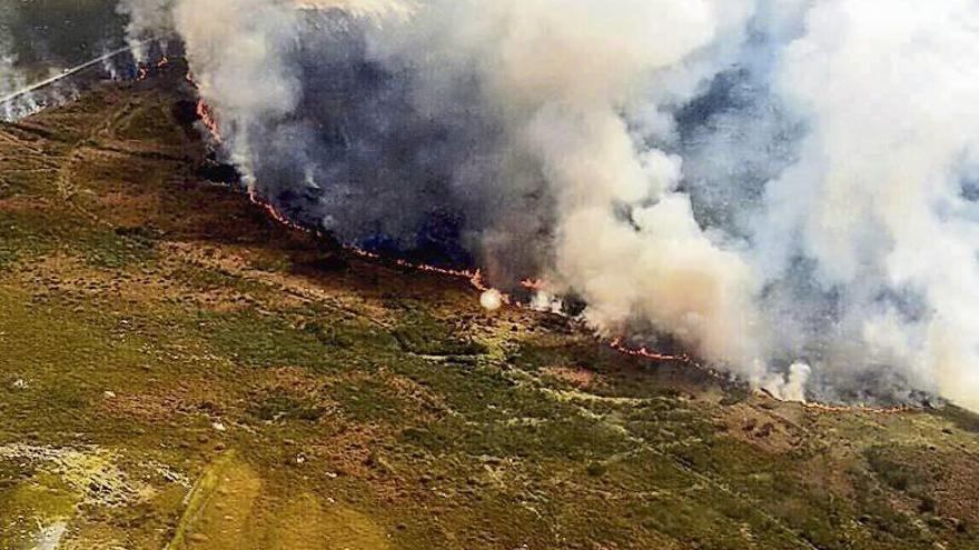 Un incendio forestal arrasa en Manzaneda 125 hectáreas