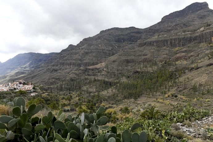 GRAN CANARIA 26-01-2019  SANTA LUCIA DE TIRAJANA-SAN BARTOLOME DE TIRAJANA. Fotos al macizo de Amurga. Fotos a los terrenos de la familia de Román comprados por el Cabildo.  FOTOS: JUAN CASTRO