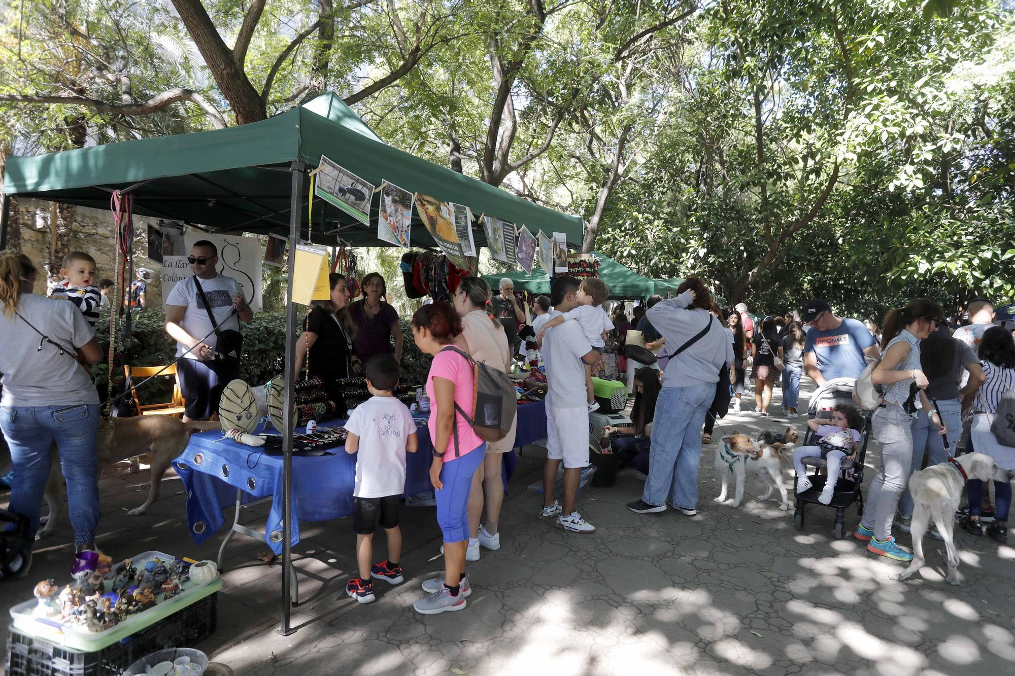 La Feria Animalista de València, en imágenes