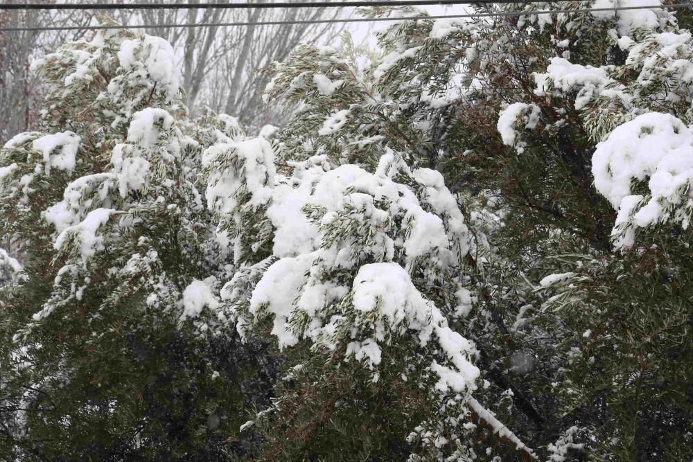 Nieve en Coy, Lorca