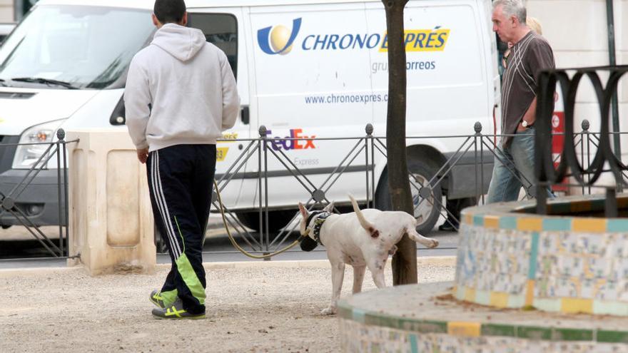 Un hombre sujeta con la correa a su perro mientras el animal orina en un árbol de la plaza Juan XXIII.