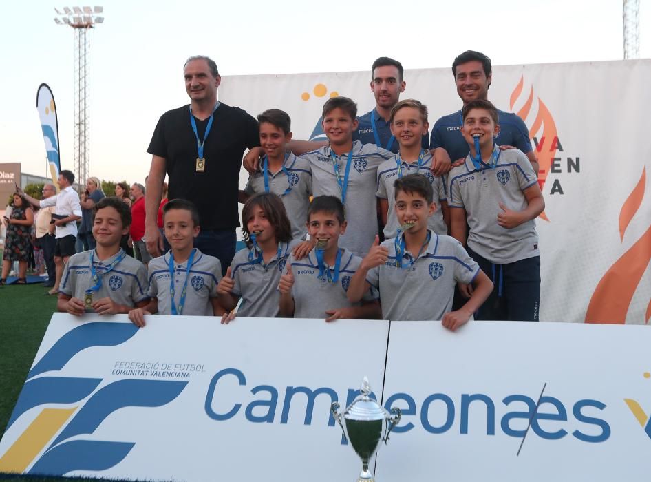 Campeones futbol 8