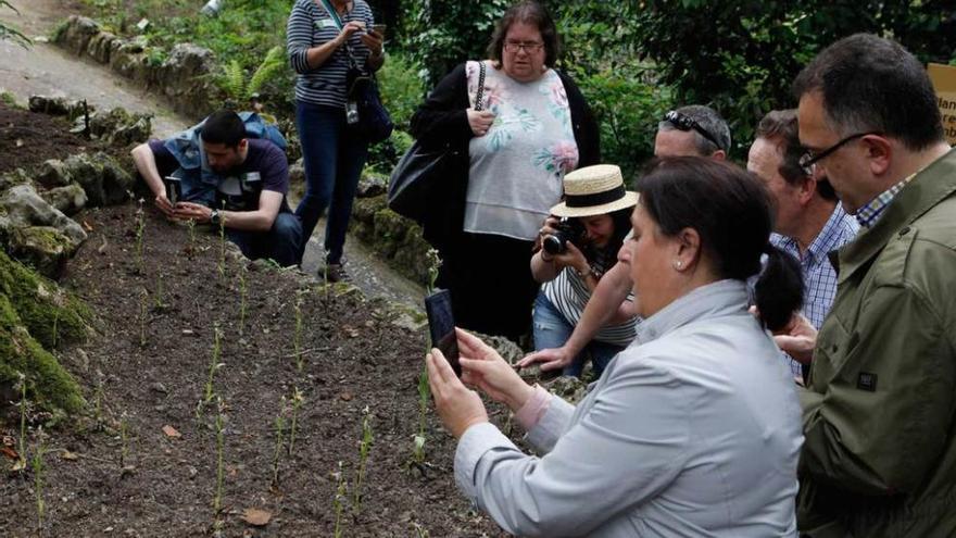 El verde combina con todo