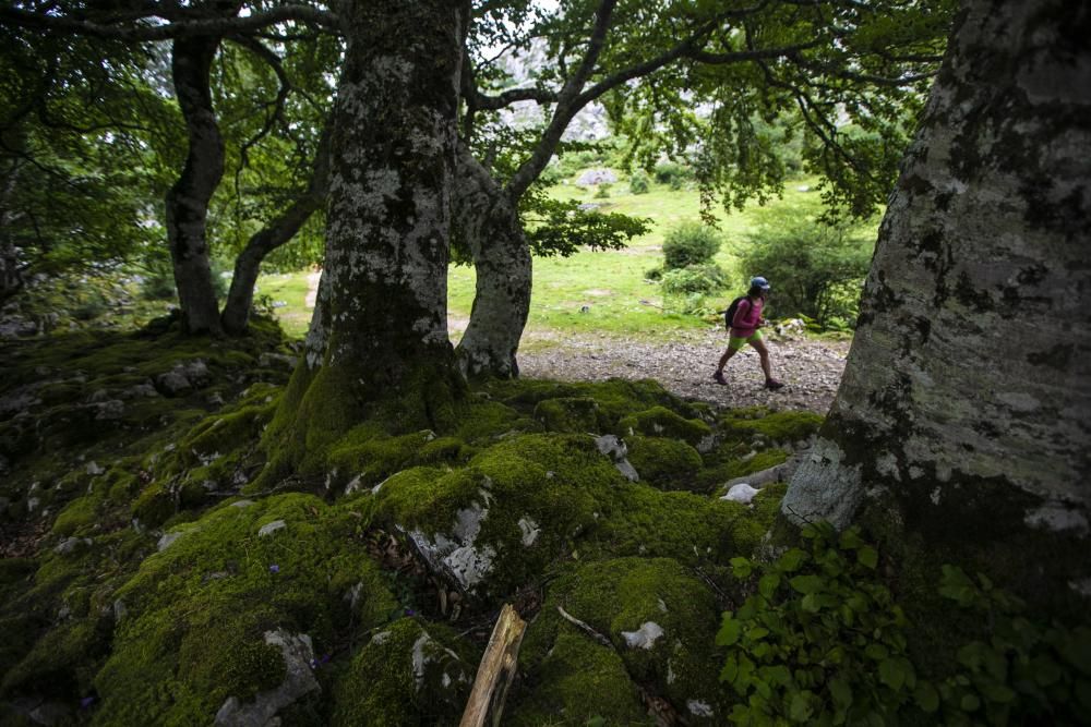 Ruta por Asturias: el mirador de Ordiales