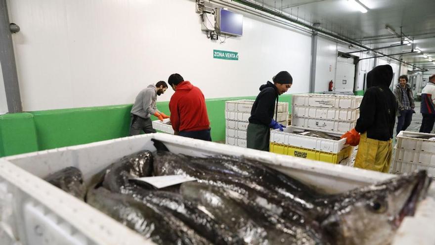 La flota dispone de cinco millones de kilos de merluza para acabar el año