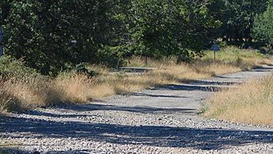 El cruce de la carretera de Carbajalinos presenta una grave falta de conservación.