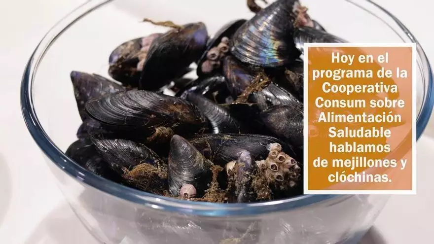 CONSUM – Alimentación Saludable | Mejillones y clóchinas