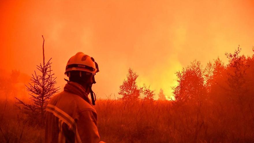 Bélgica lucha para apagar uno de los incendios más graves de su historia en una reserva natural