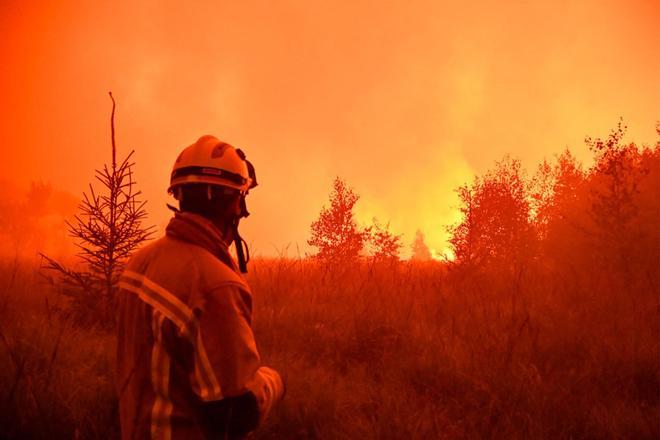 Bélgica lucha para apagar uno de los incendios más graves de su historia en una reserva natural
