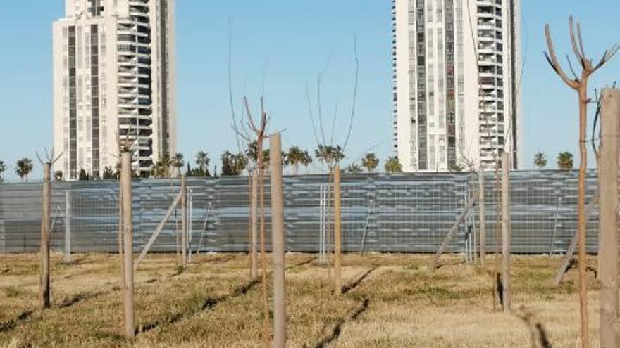 El Medusa Festival planta más de 4.000 árboles en su recinto