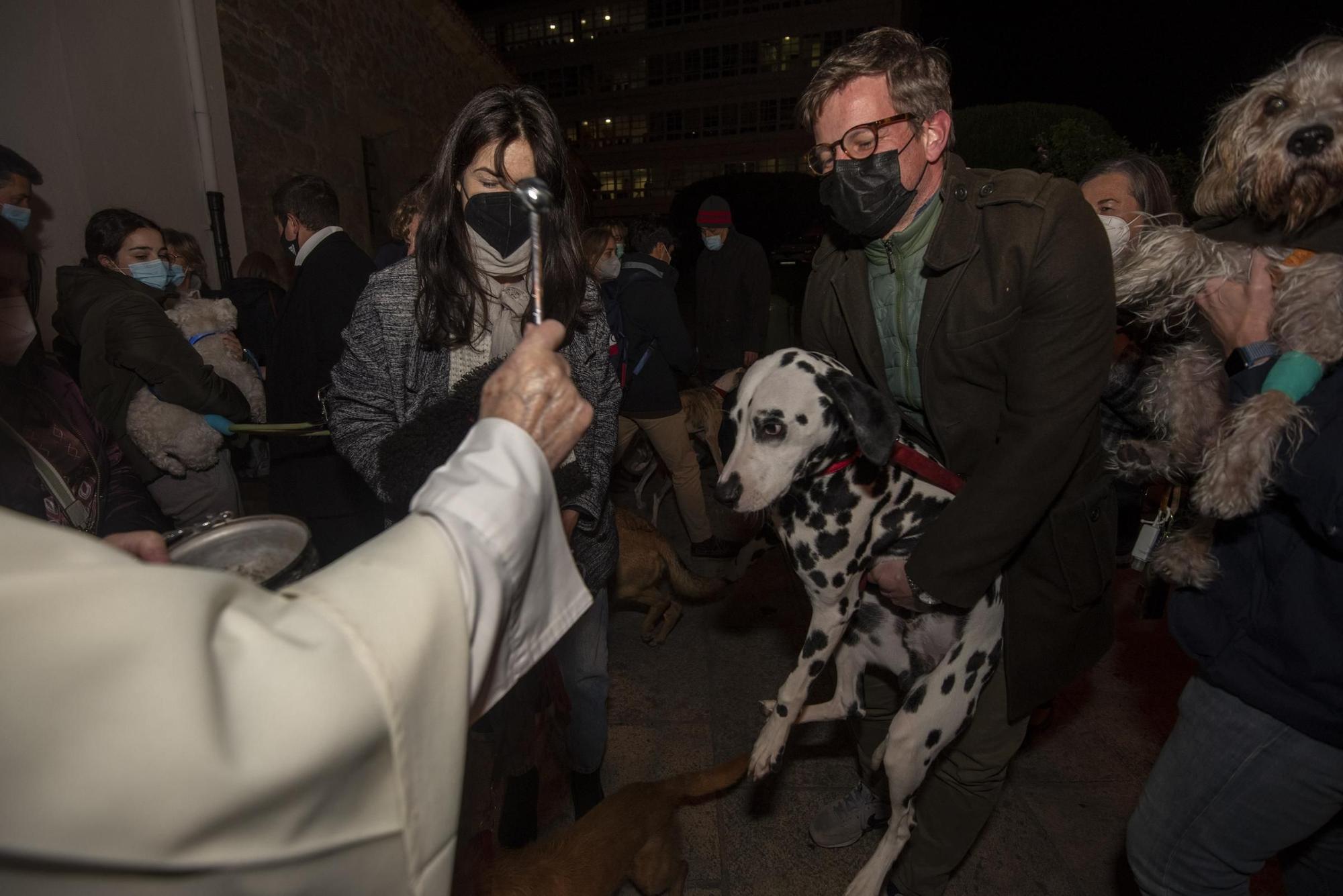 Bendición de mascotas en A Coruña por la festividad de San Antonio Abad