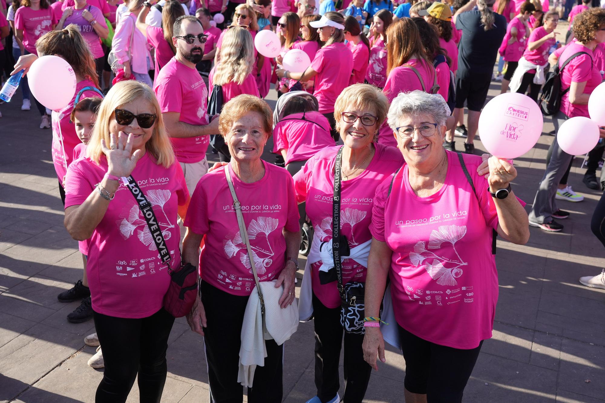 Búscate en la Marcha Contra el Cáncer de Mama de Castelló