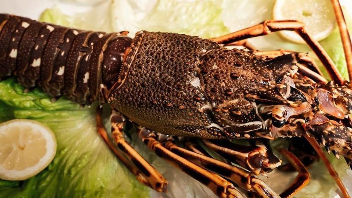 Langosta en Casa Ataulfo