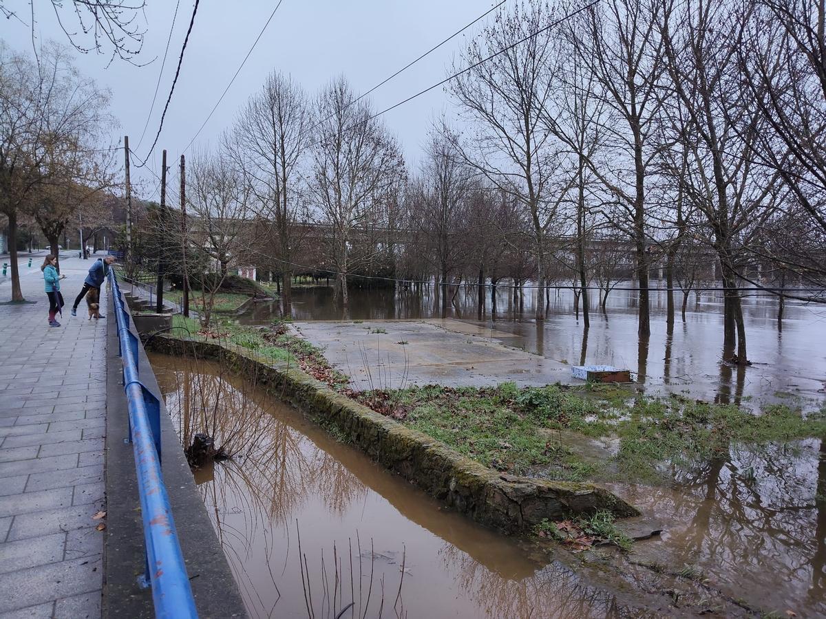 El río Alagón inunda el paso de la Isla de Coria, la semana pasada.