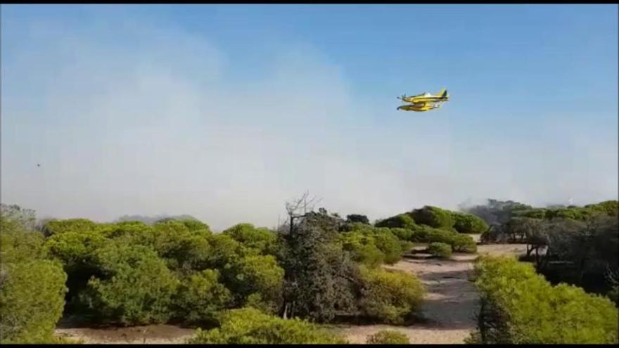 Así intervinieron los bomberos para extinguir el incendio de la pinada de Guardamar