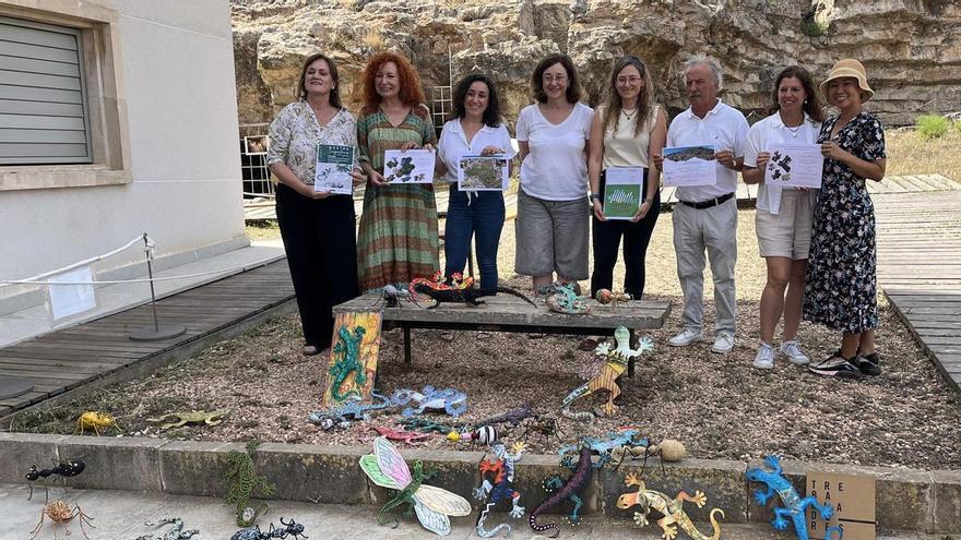 El tesoro que esconde el patrimonio natural de Puig des Molins