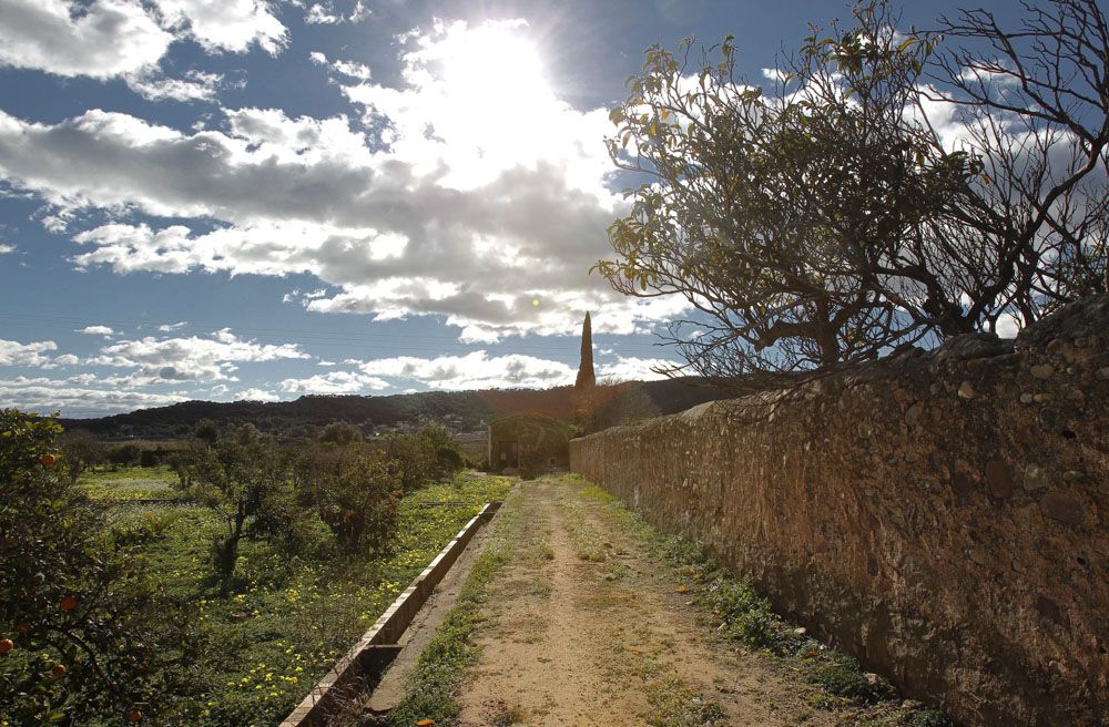 Un paseo por Petrés