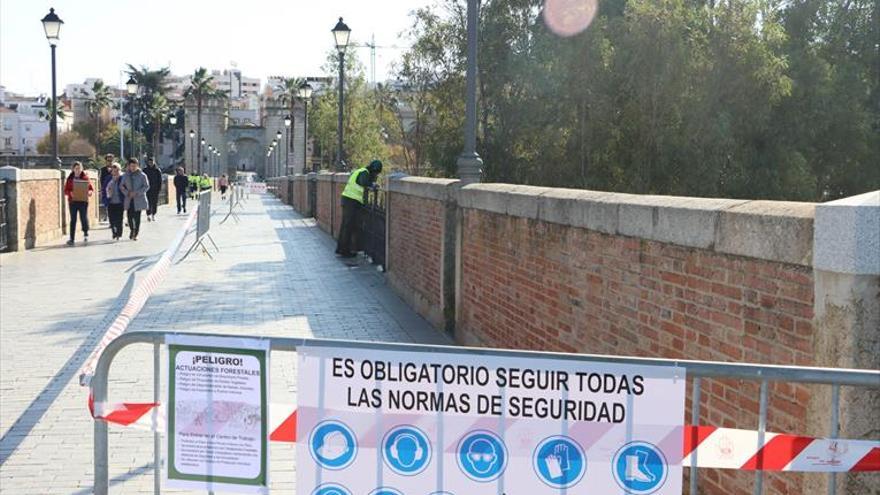 La CHG empieza a limpiar la masa forestal del entorno del puente Viejo