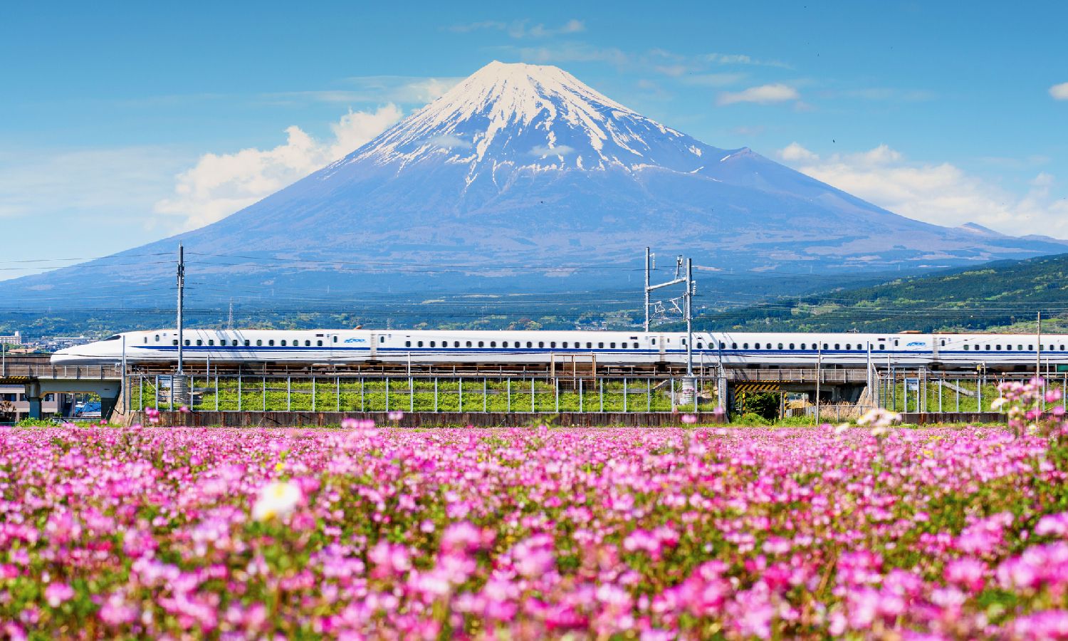 Tren bala, Japón