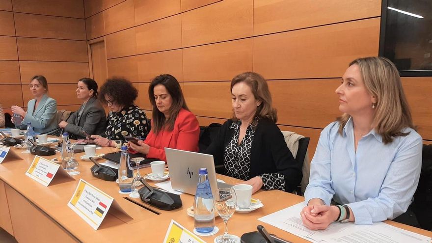 Política Social lamenta que el Ministerio plantee una nueva Ley de Dependencia &quot;sin recursos&quot;