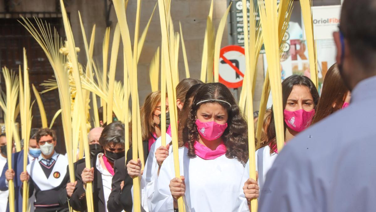 Procesión de las Palmas en Domingo de Ramos, el año pasado