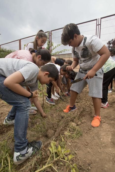 Hort escolar al CEIP Pablo Neruda València