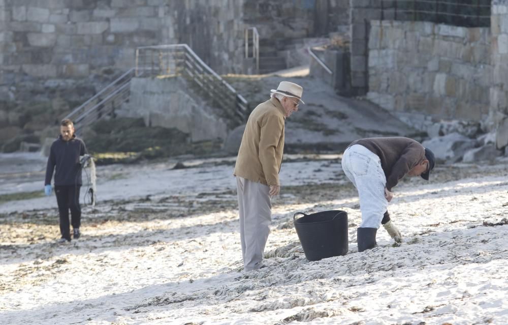 Voluntarios retiran 200 kilos de basura del arenal de Alcabre y limpian 3.000 metros cuadrados de monte.