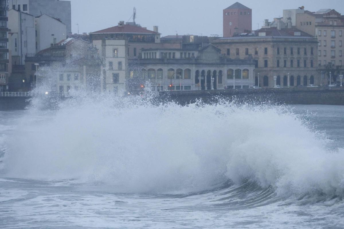 Del rescate de un perro en el mar a caídas de árboles, motos y antenas: los efectos del fuerte temporal de lluvia y viento en Gijón (en imágenes)